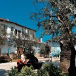 Peaceful village square with benches, olive trees, and historical buildings under clear blue sky.