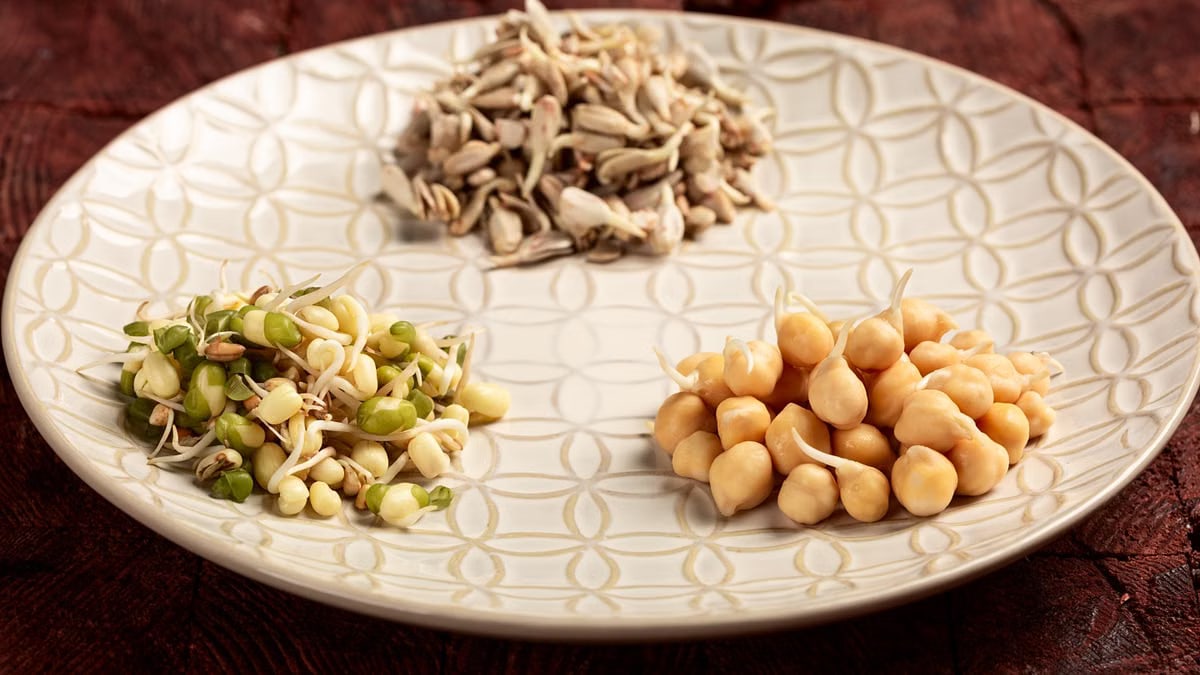 A variety of sprouting seeds and chickpeas arranged on a decorative white ceramic plate.